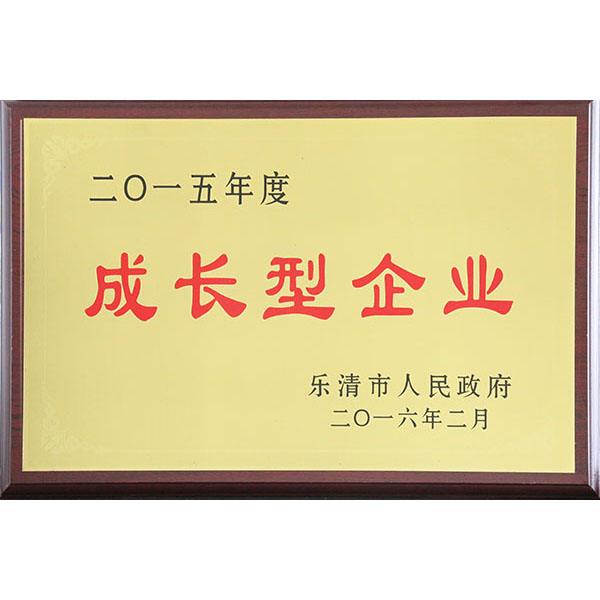 成长型企业
