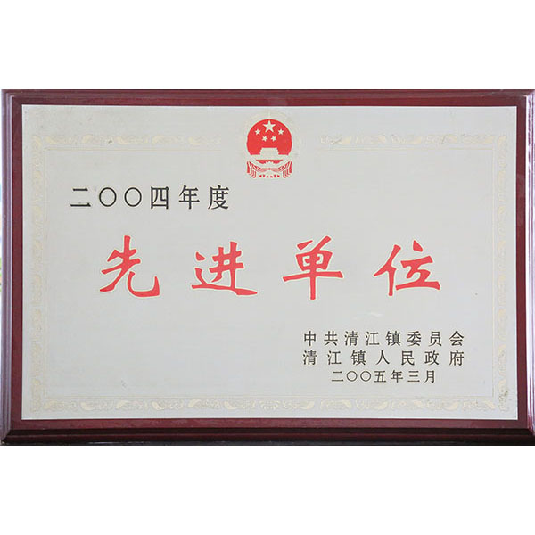 先进 (2).JPG
